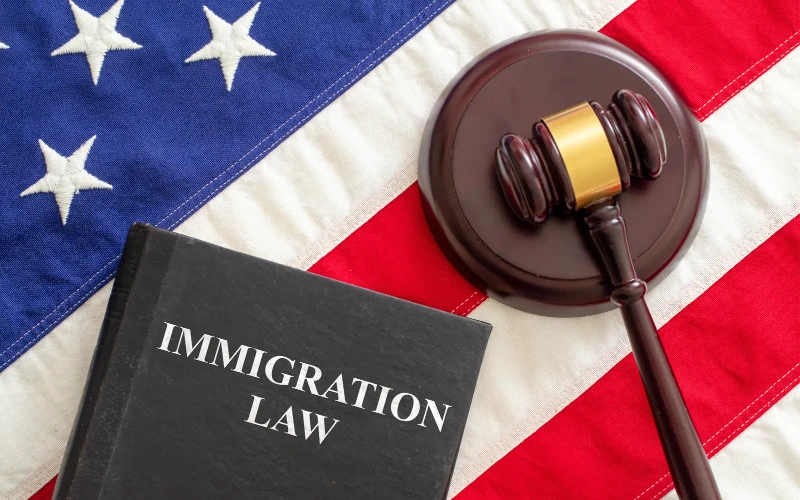 Read more about the article Legal vs Illegal Immigrants uk Statistics